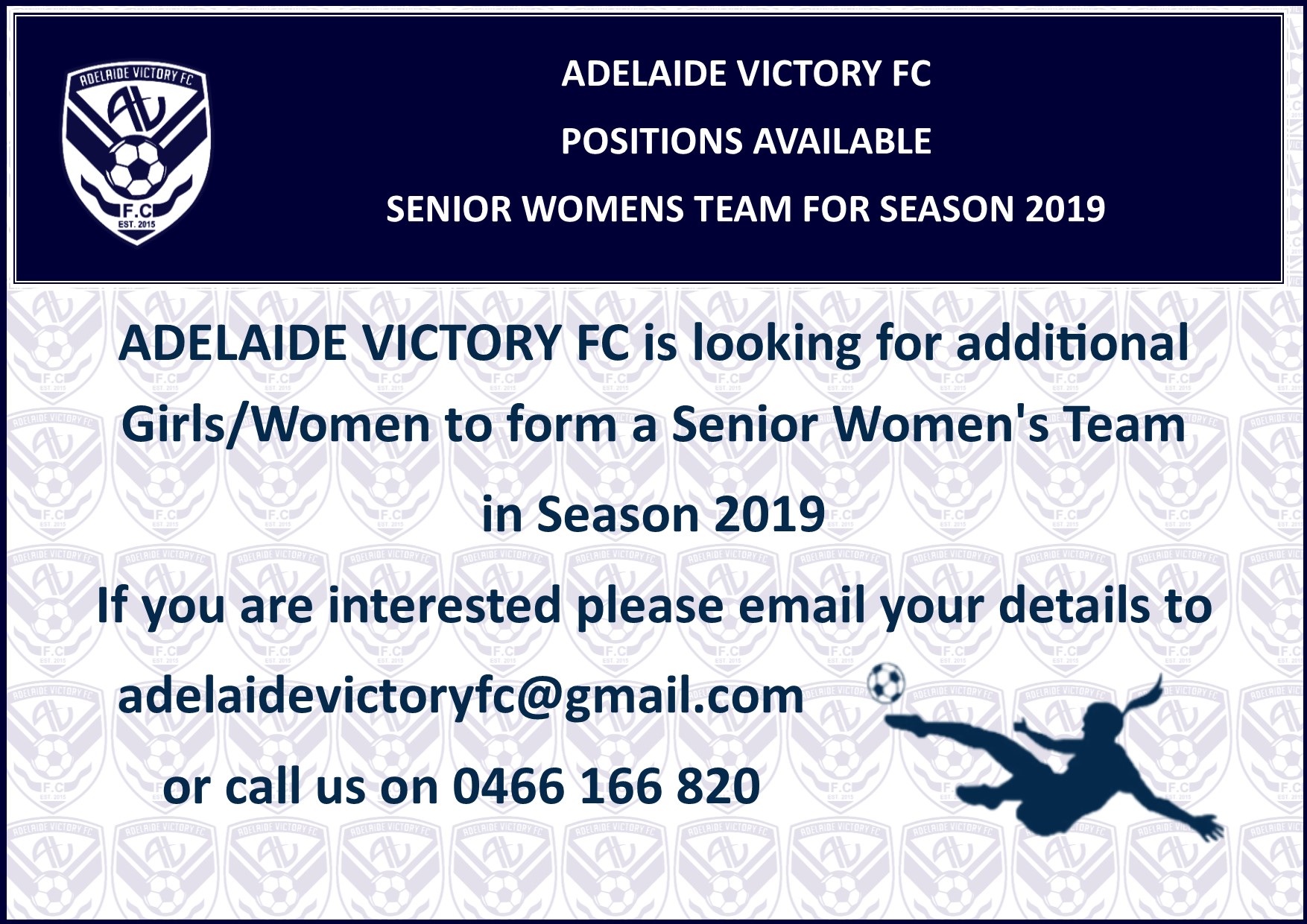 Adelaide Victory Seeking Female Players For 2019 Football SA